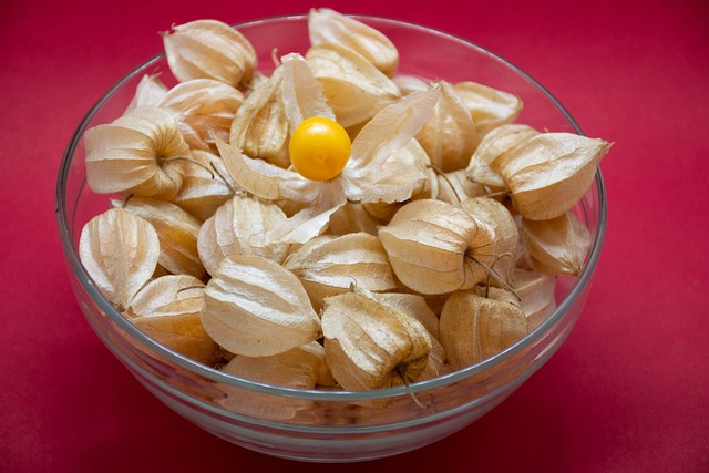 physalis v misce